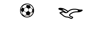NPO法人八戸市サッカー協会